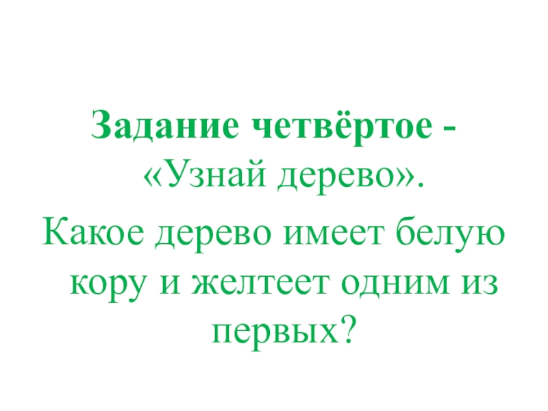 Презентация КВД Викторина И снова осень Задание четвёртое - «Узнай дерево».Какое дерево имеет белую кору и желтеет одним из первых? Задание четвёртое - «Узнай дерево».Какое дерево имеет белую кору и желтеет одним из первых?