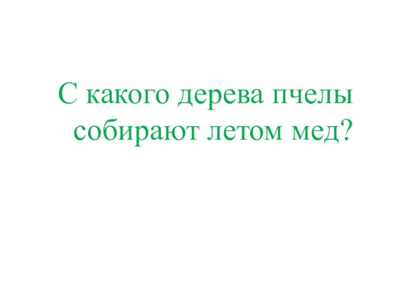 Презентация КВД Викторина И снова осень С какого дерева пчелы собирают летом мед? С какого дерева пчелы собирают летом мед?