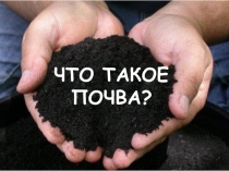 Презентация по окружающему миру Что такое почва?
