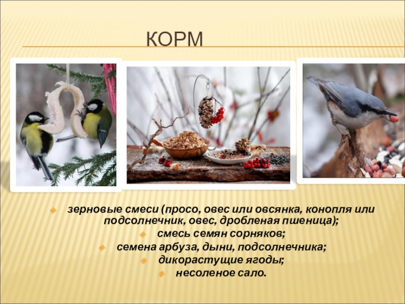 Презентация для конкурса Птицы на кормушке КОРМзерновые смеси (просо, КОРМзерновые смеси