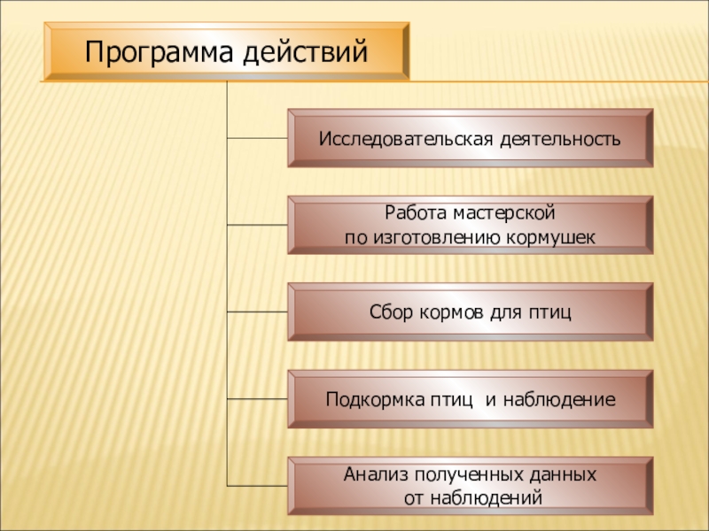 Презентация для конкурса Птицы на кормушке