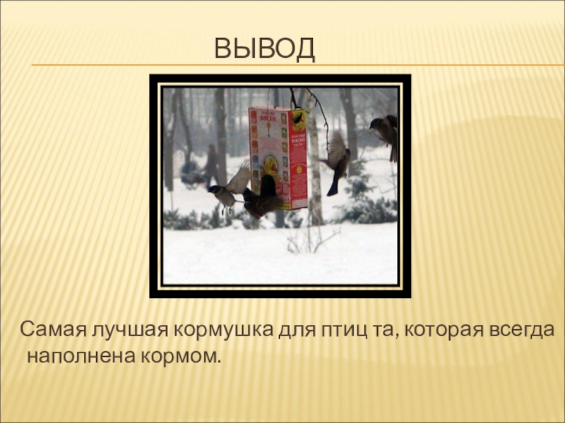 Презентация для конкурса Птицы на кормушке ВЫВОД Самая лучшая ВЫВОД