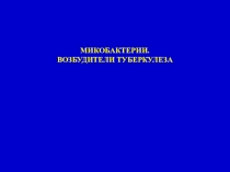 Презентация для студентов медицинского колледжа Микобактерии. Возбудители туберкулеза