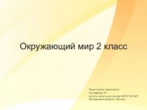 Презентация по окружающему миру на тему Весеннее пробуждение растений ( 2 класс)