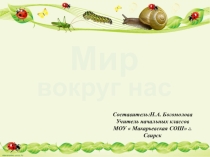 Презентация к уроку окружающий мир на тему  Многообразие животных (3 класс)