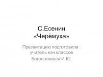 Презентация к уроку С.Есенин Черёмуха