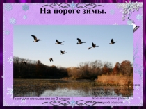 Презентация по русскому языку на тему Парные согласные в корне. Текст для списывания во 2 классе