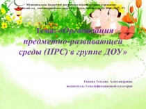 Организация предметно-развивающей среды (ПРС) в группе ДОУ