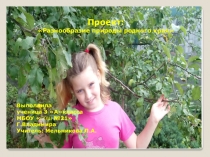 Презентация  разнообразие природы Владимирской области