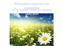 Презентация к занятию по экологии - Путешествие в страну цветов