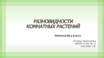 Презентация к уроку Комнатные растения в интерьере квартиры