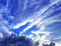 Презентация по биологии по теме: Состав воздуха (6 класс)