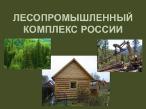 Презентация по географии по теме Лесопромышленный комплекс России для 9 класса