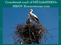 Презентация Семейный клуб Гнёздышко.