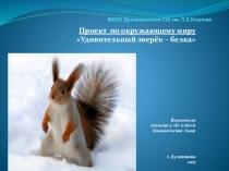 Урок-проект по окружающему миру