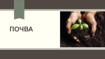 Почва (6 класс)
