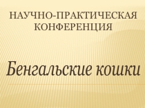 Презентация научно-практической конференции Бенгальские кошки.