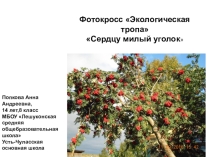 Презентация по географии на тему Экологическая тропа
