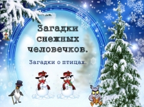 Презентация по биологии к теме Птицы.Загадки снежных человечков о птицах.7 класс.