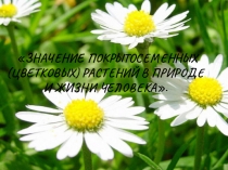 Презентация по биологии на тему ЗНАЧЕНИЕ ПОКРЫТОСЕМЕННЫХ (ЦВЕТКОВЫХ) РАСТЕНИЙ В ПРИРОДЕ И ЖИЗНИ ЧЕЛОВЕКА.