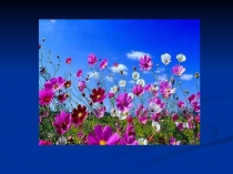 Презентация по английскому языку Времена года. Весна.