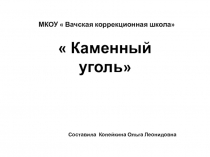 Презентация к уроку биологии на тему  Каменный уголь ( 6 класс специальной коррекционной школы VIII вида