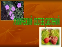 Презентация по биологии на тему Химический состав растений (6 класс)