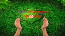 Презентация Человек и природа