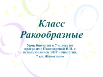 Презентация по биологии Класс Ракообразные 7 класс
