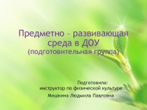 Предметно - развивающая среда в ДОУ