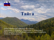 Презентация по географии на тему Природные зоны России. Зона тайги (8 класс)
