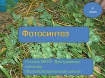 Презентация  Фотосинтез растений