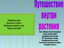 Презентация к уроку обобщения знаний по теме Строение и функции растений в 6 классе