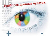 Презентация по теме Гигиена зрения по биологии