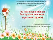 Проект на тему К нам весна шагает быстрыми шагами в средней группе