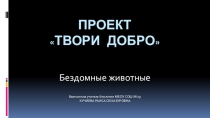 Проек, направленный на защиту бездомных животных