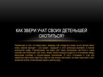 Как звери учат своих детёнышей охотиться