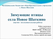 Презентация по биологии на тему Зимующие птицы с. Новое Шаткино