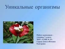 Презентация по биологии Уникальные организмы
