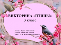 ПРезентация к внеклассному мероприятию Птицы (викторина)