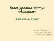 Презентация по балкарской литературе на тему Толгъурланы З. Ашырыу