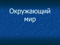 Жизнь лесных зерей зимой ,презентация