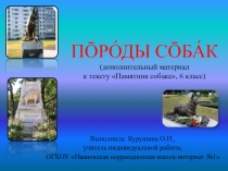 Презентация по РСВ и ОП Породы собак (6 класс, дети с ОВЗ)