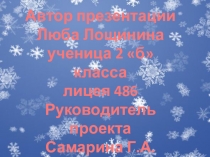 Презентация Как Новый год встречают в разных странах