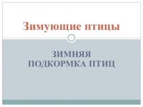 Презентация по биологии зимняя подкормка птиц
