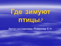 Презентация к уроку окружающего мира на тему Где зимуют птицы