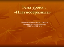 Презентация 7 класс Плаунообразные