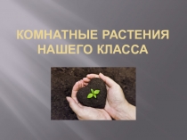 Презентация по внеурочной деятельность Наши экологи