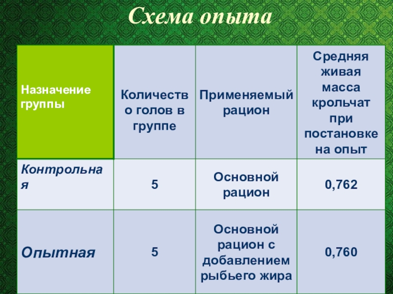 Влияние добавки рыбьего жира в рацион кроликов породы Белый великан на их откормочные качества Схема опыта Схема опыта