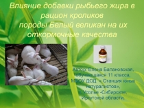 Влияние добавки рыбьего жира в рацион кроликов породы Белый великан на их откормочные качества